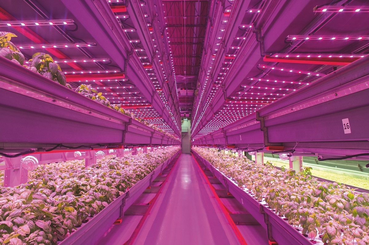 1645685972891362.jpg AS7343为植物照明提供了快速和准确的光谱测量.jpg