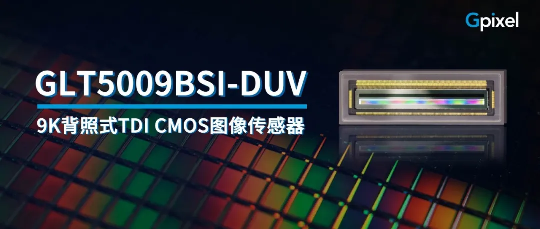 1723704053425309.png GLT5009BSI-DUV.png
