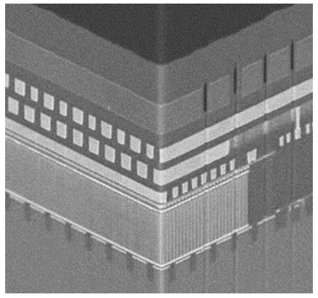 1735266338564158.jpg 图3:OCTRAM概览图.JPG