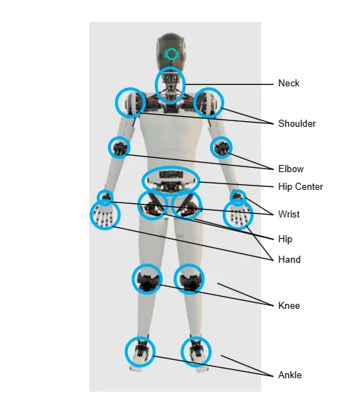 图 1：显示人形机器人 DOF 变得更高的位置.png