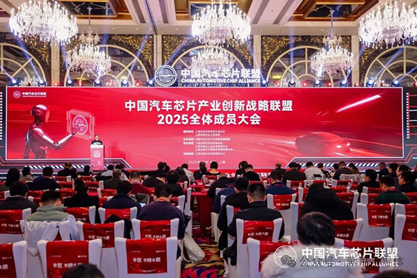 1766367021402489.jpg 2.jpg