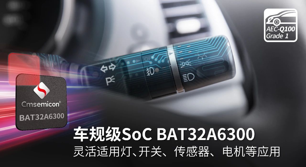 1723196385935835.jpg 7.jpg