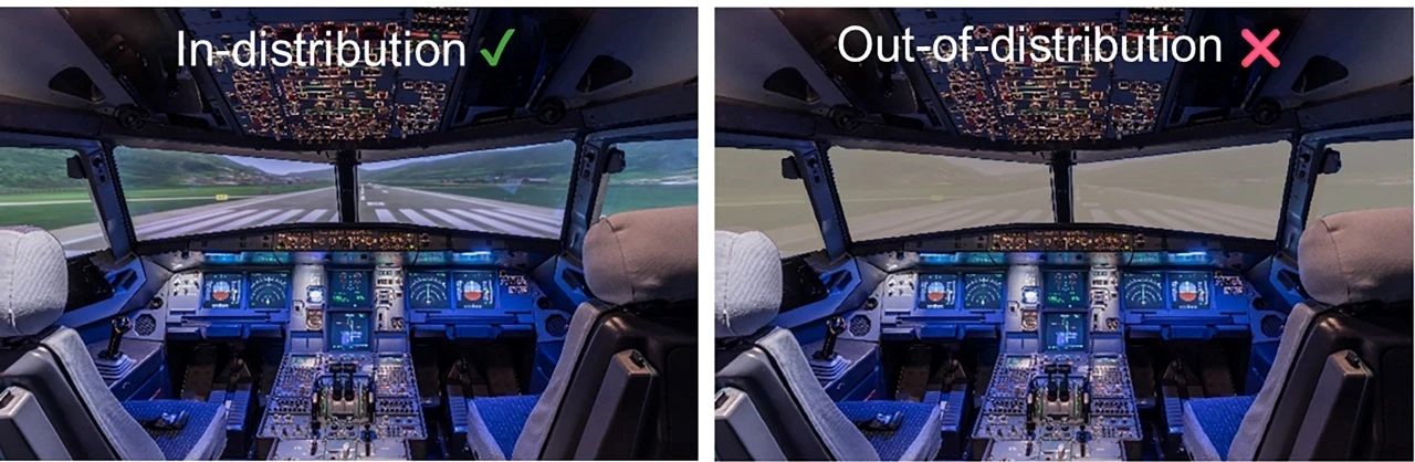 1735177861477944.jpg 2.jpg