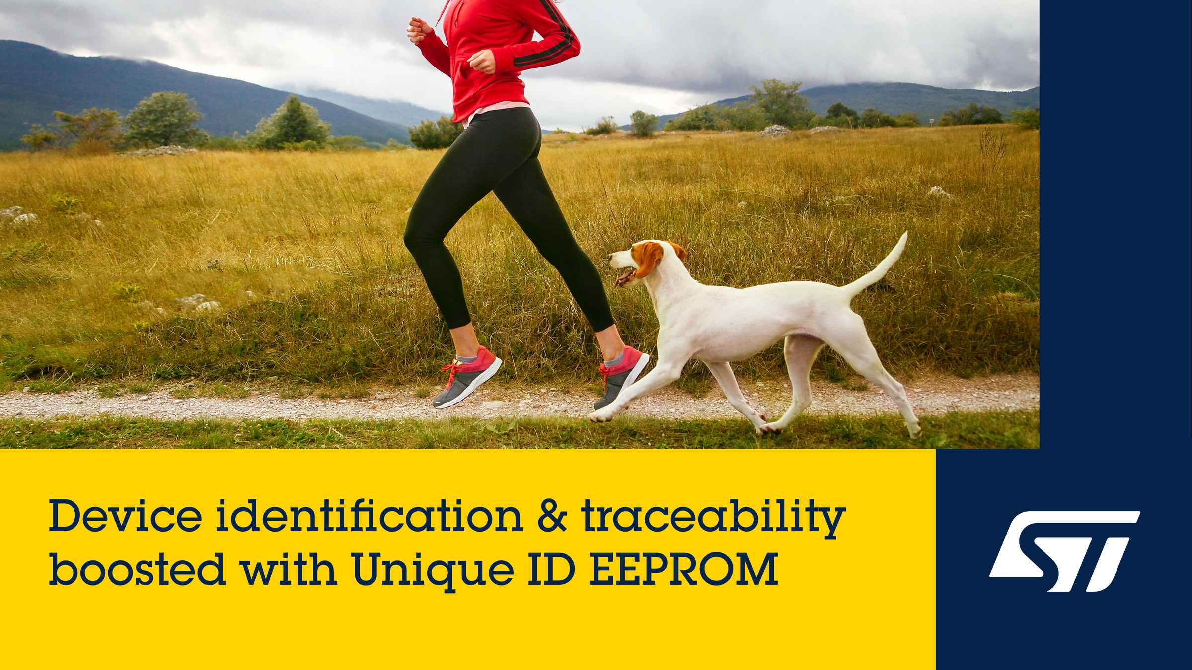 1745475536581268.png 1745475536581268.png